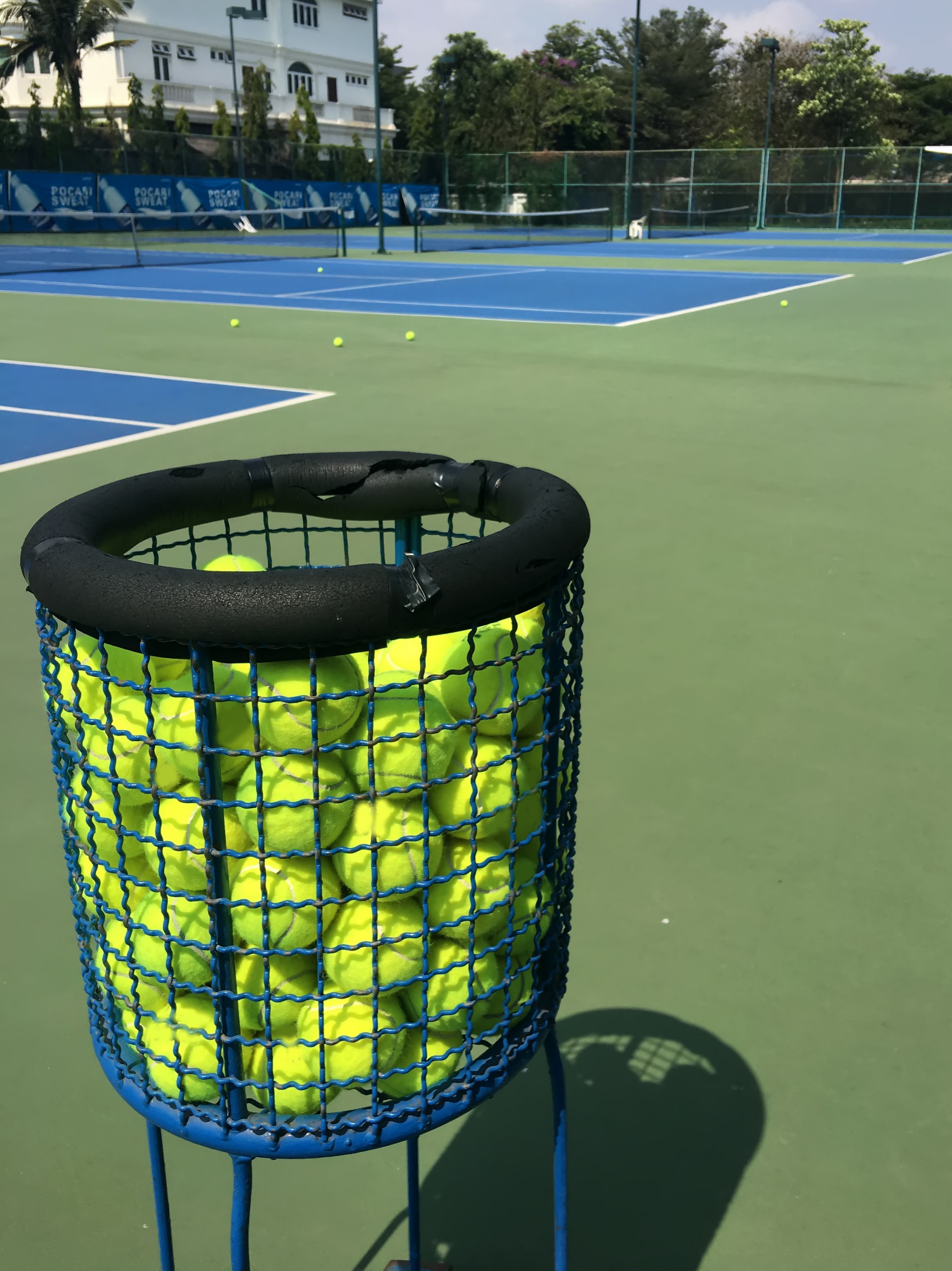 Court Bookings Thornhill Park Tennis Club